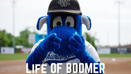 Inside Boomer: The Life and Times of the ThunderBolts' Most Enduring Star