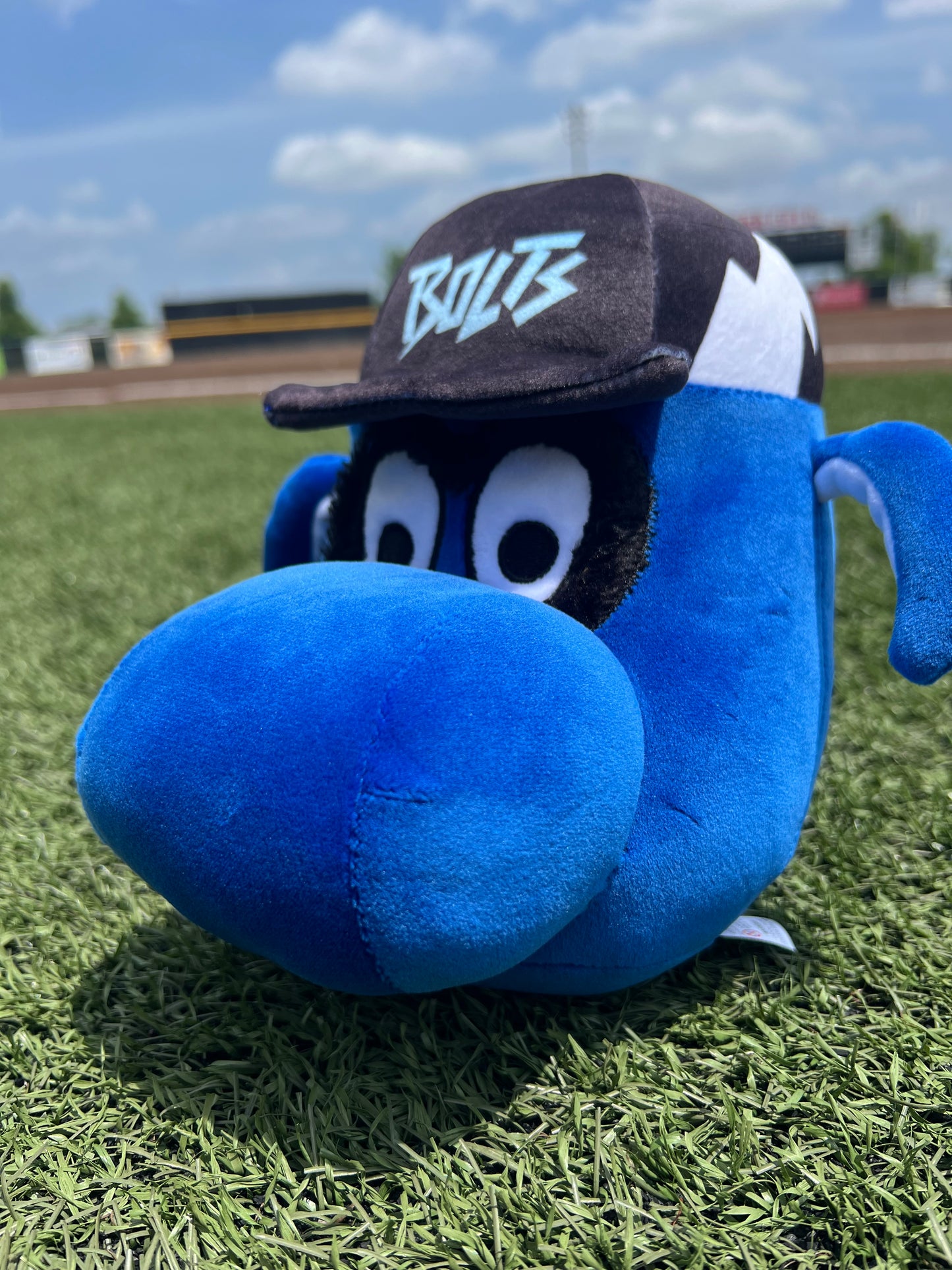 Boomer Squishmallow