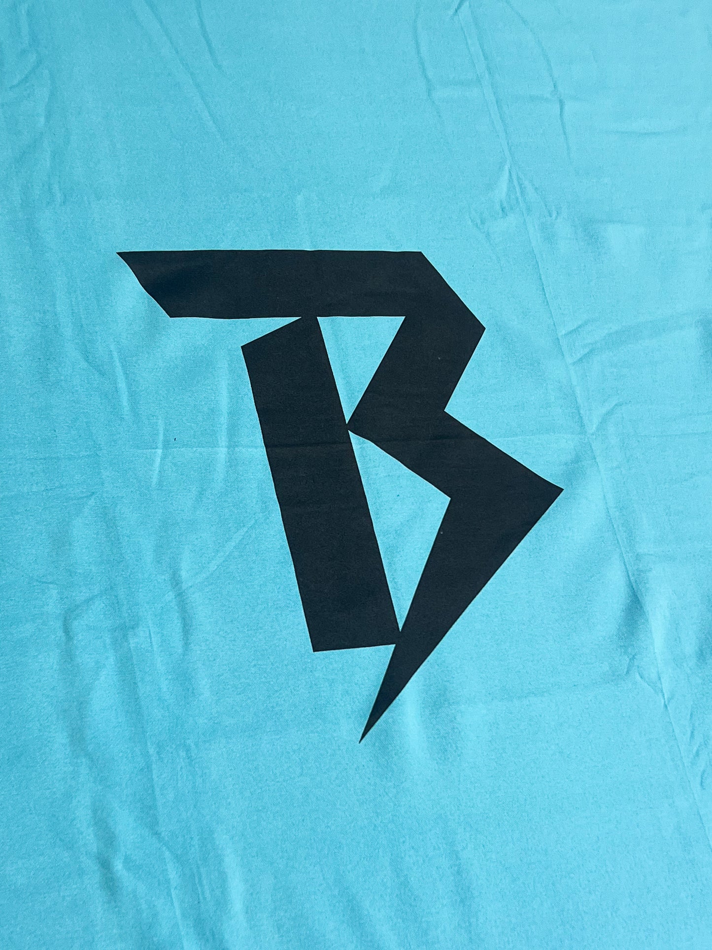 Ultra-Soft Bolts Blanket